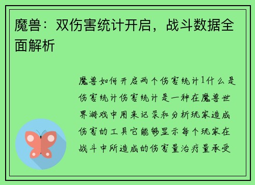 魔兽：双伤害统计开启，战斗数据全面解析